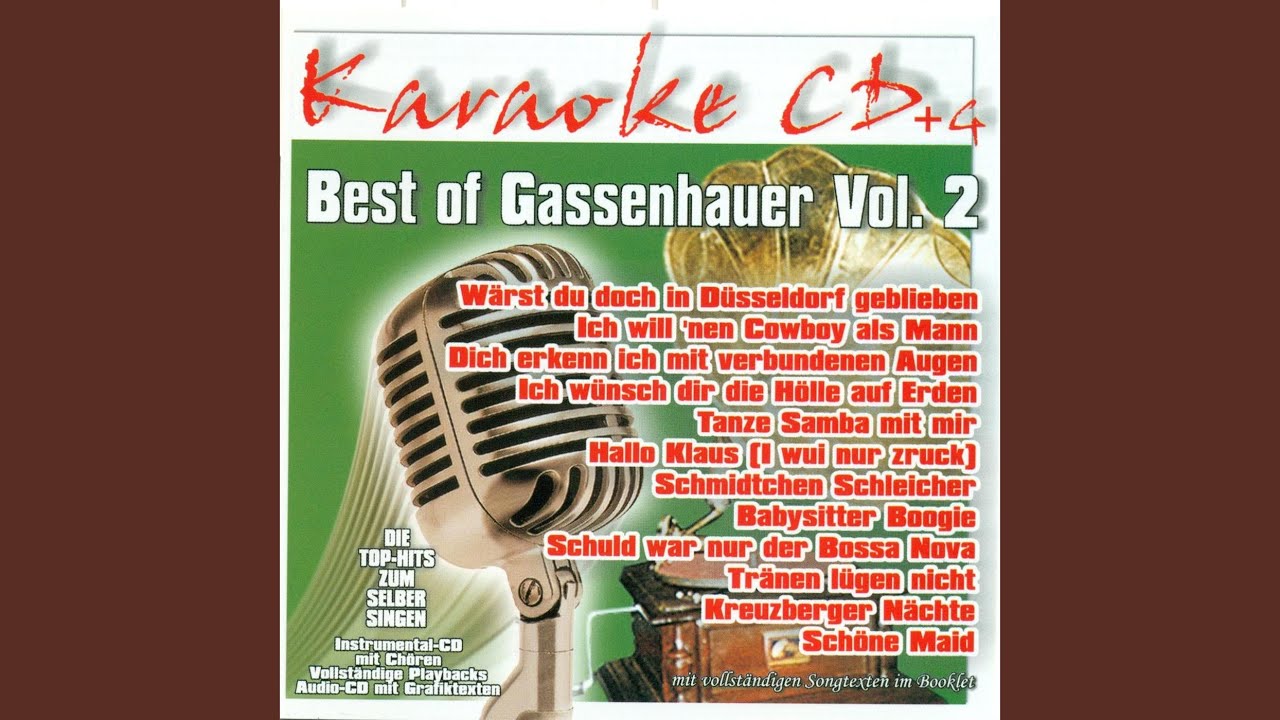 Schuld war nur der Bossa Nova (InstruemntalVersion)