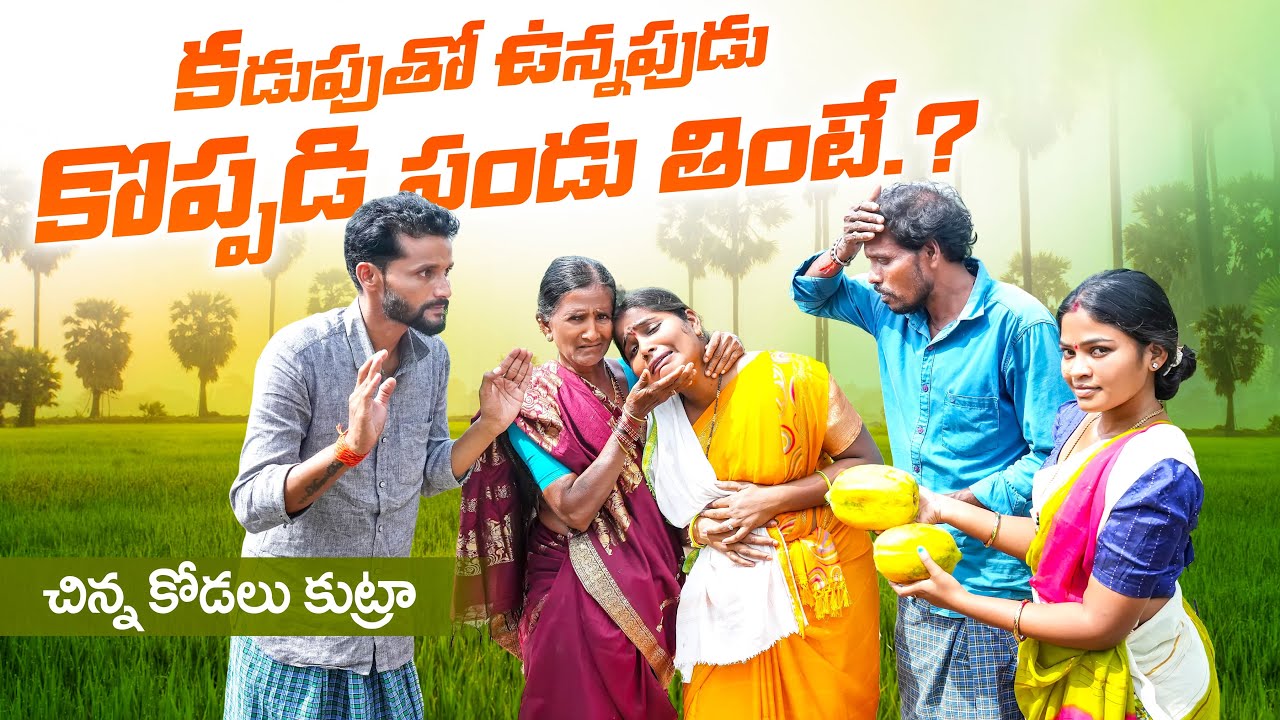 కడుపుతో  ఉన్నపుడు కోప్పడి పండు తింటే|| చిన్న కోడలు కుట్రా||my village comedy||dhoom dhaam channel