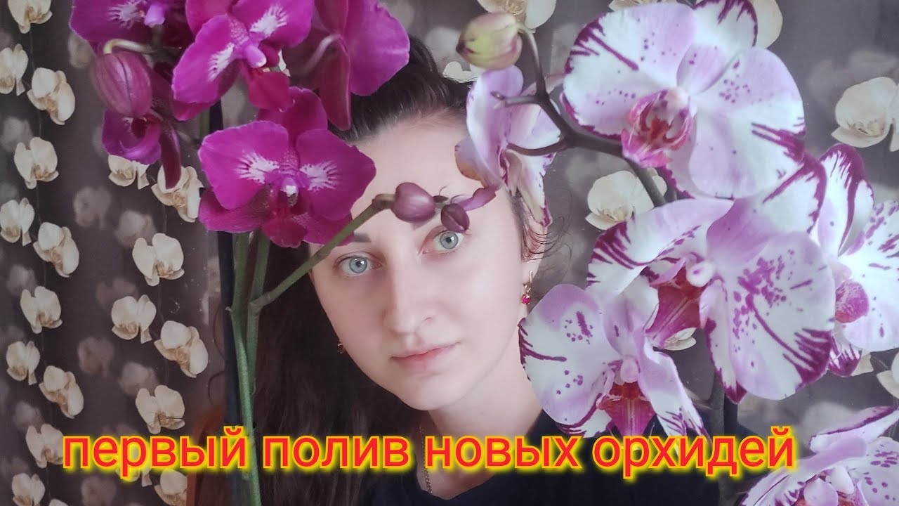 Как поливать Орхидеи, чтобы КОРНИ не гнили/ первый полив двух орхидей в разных посадках