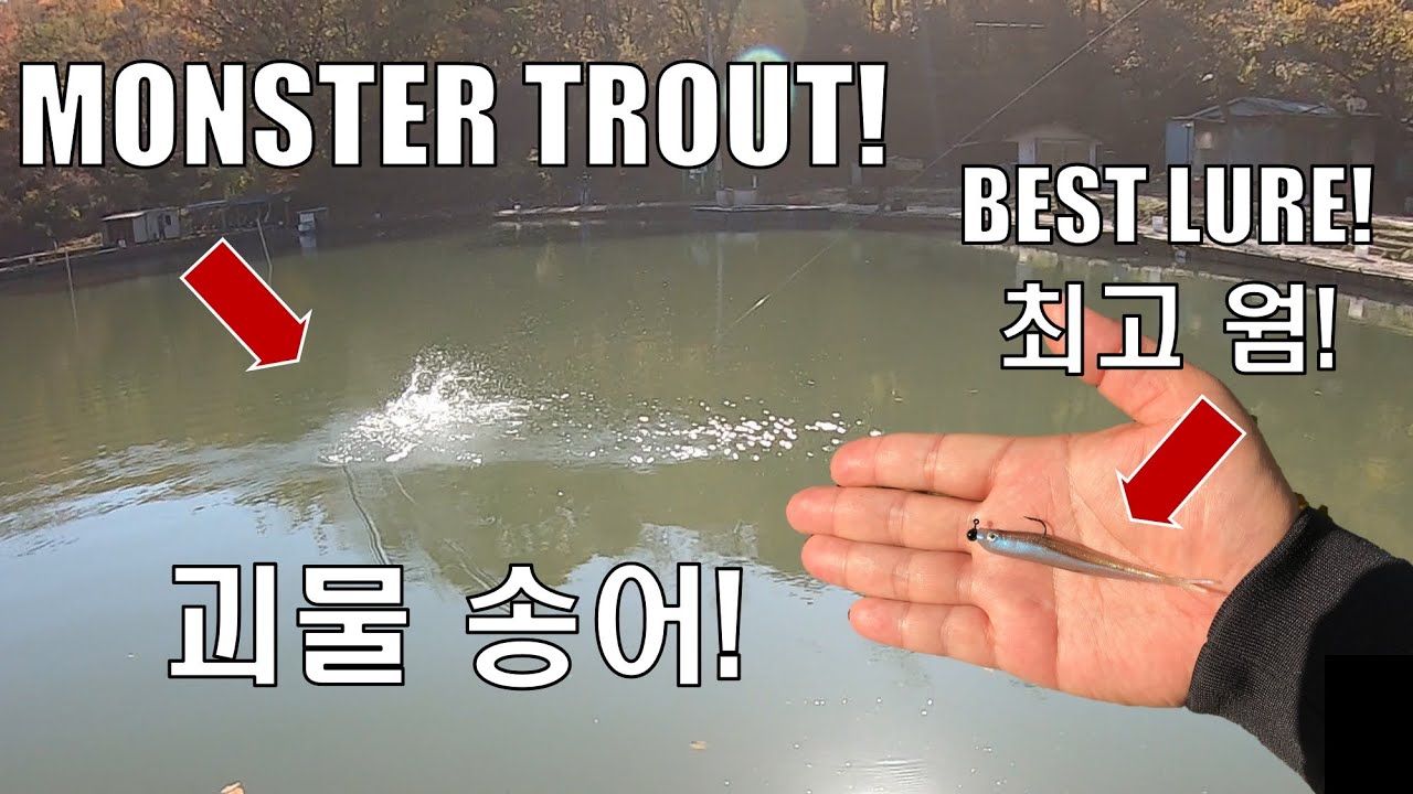 MIDSTROLLING For Trout! This Is The BEST LURE! 신기낚시터 송어 낚시! 미드스트롤링 운영 방법 설명 및 최고 웜 소개!