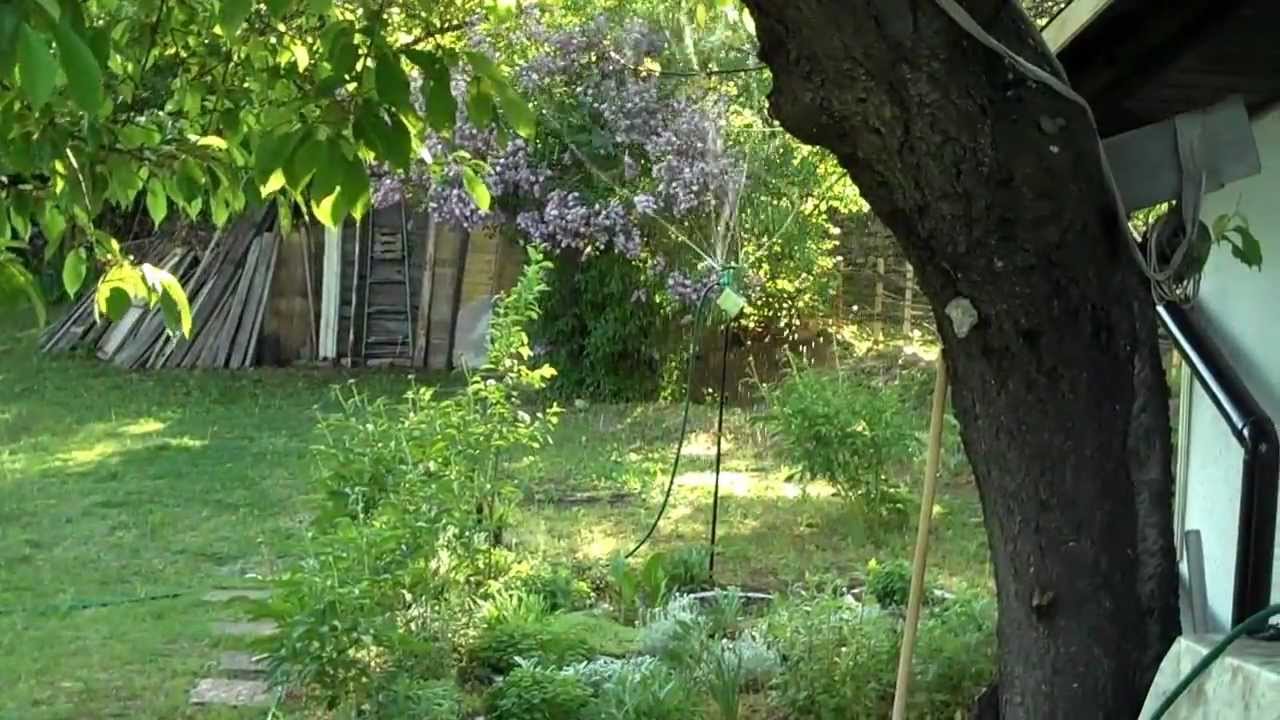 VID00129