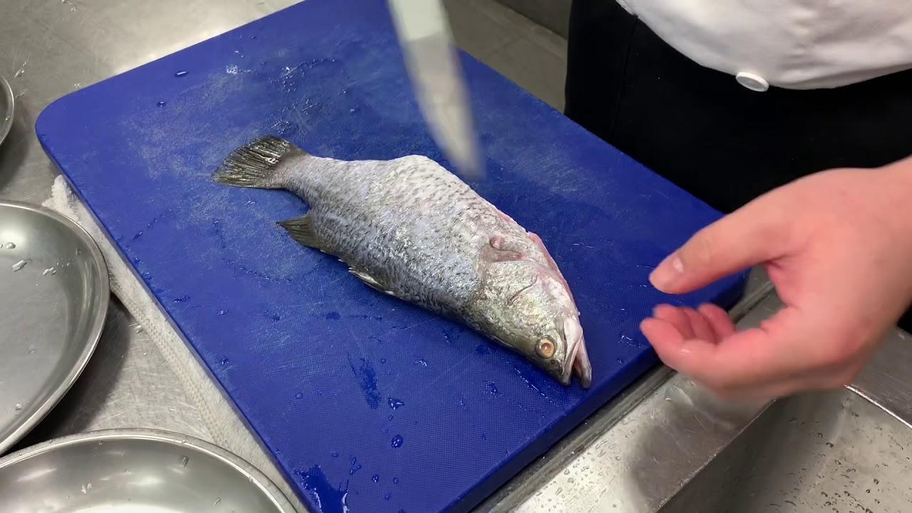 鱸魚如何取魚菲力