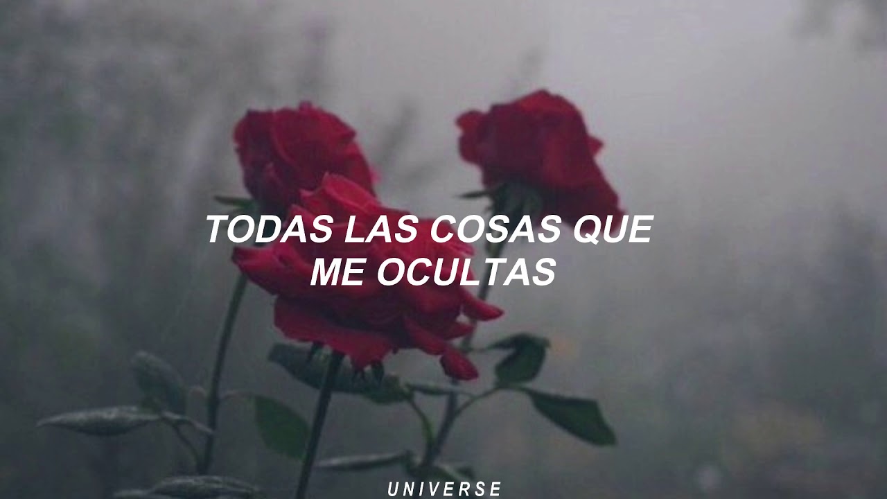 Avril Lavigne; My Happy Ending [Traducida al español]