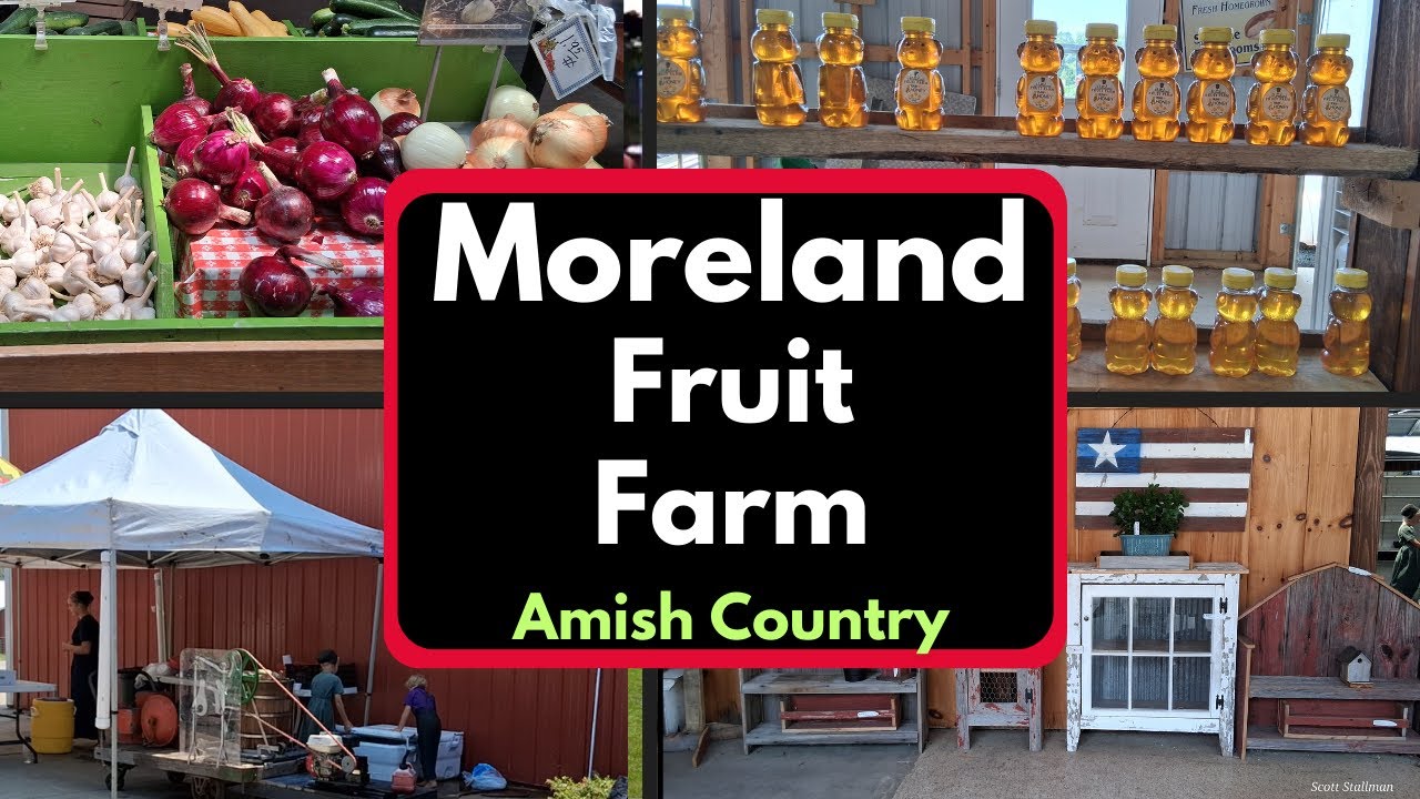 Moreland Fruit Farm in Amish Country    #amishcountry #pickyourown #fruit