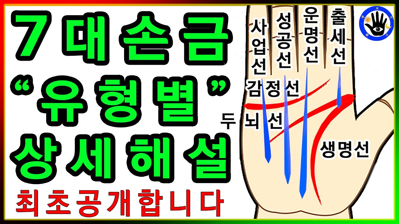 《7대손금 유형별 상세해설》을 가르쳐 줍니다!!  [손도사손금풀이 167번]