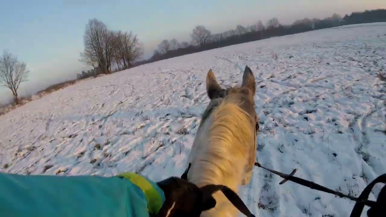 HORSES RIDER - Zimowy Teren z GoPro