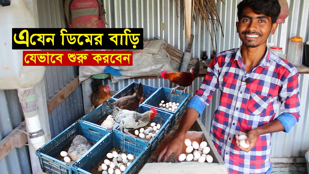 মানিকগঞ্জের সুমন ভাইয়ের বাড়ি এ যেন দেশি মুরগির ডিমের বাড়ি | মুরগির খোপ | Desi murgi palan