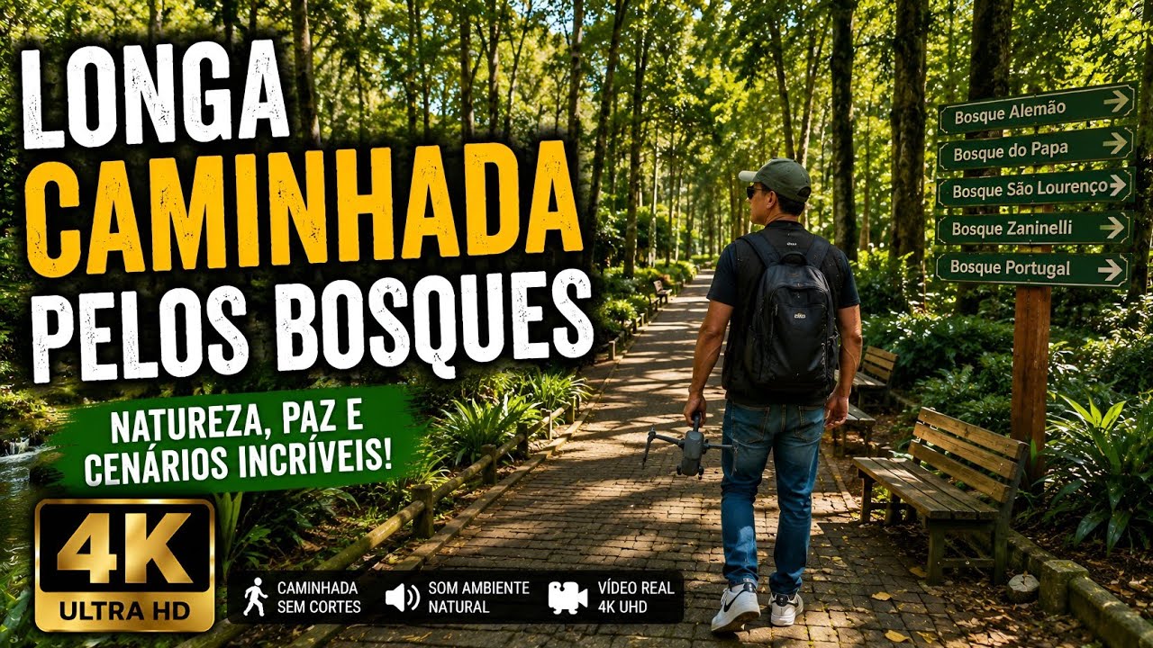 Bosques Paradisíacos | Curitiba, Brazil 🇧🇷 | Walking Tour Sem Cortes | 4K