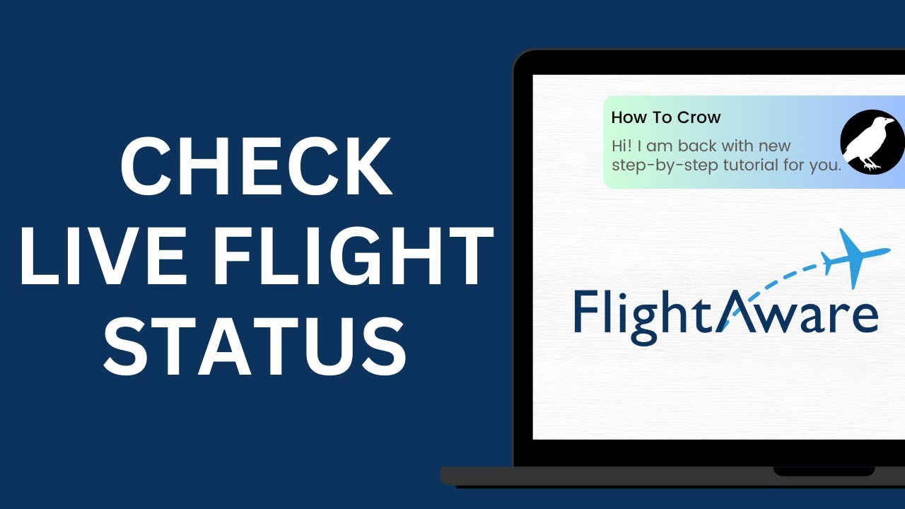 How to Check Flight Status