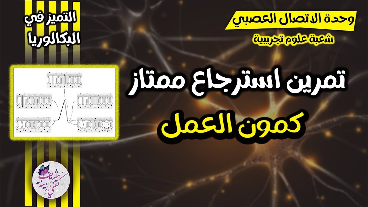🔥تمرين ممتاز حول مراحل كمون العمل💥وحدة الاتصال العصبي| بكالوريا