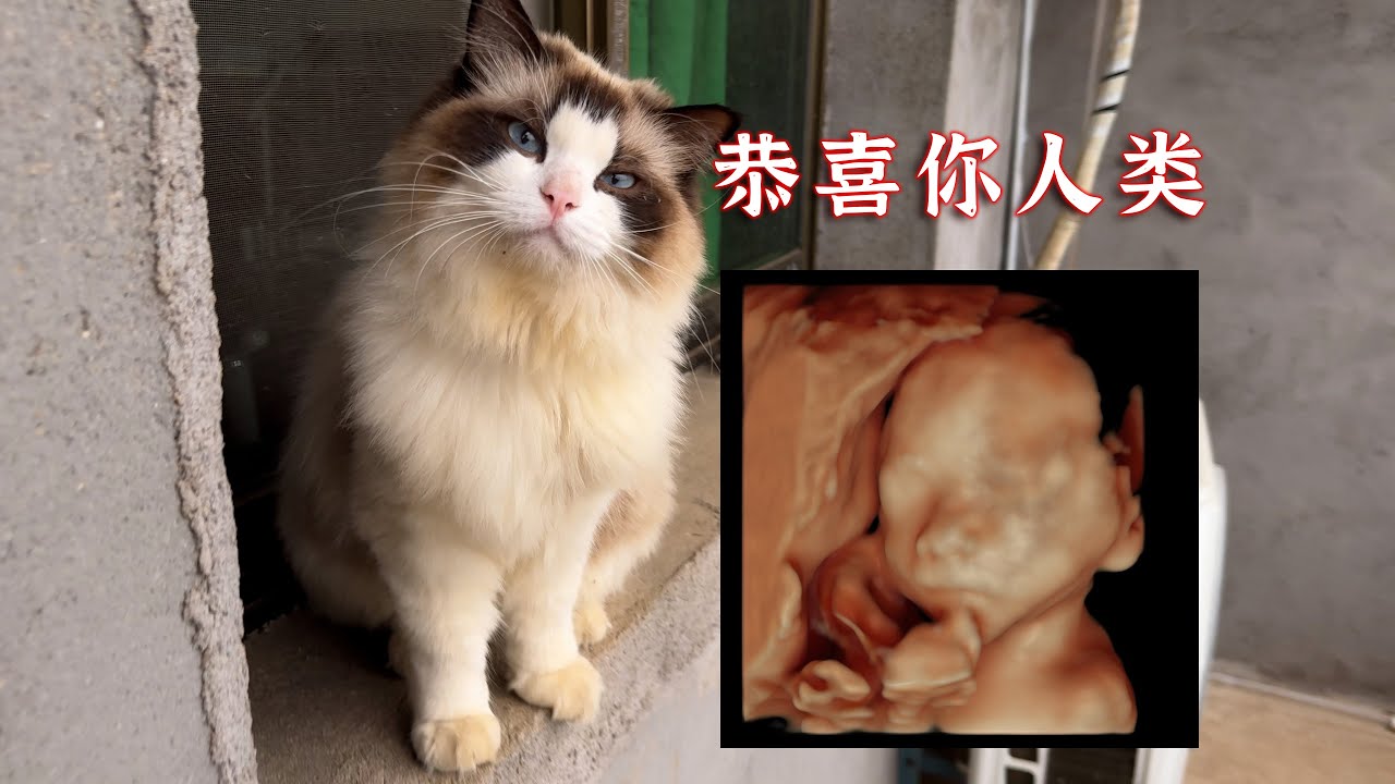 人，你终于有自己的孩子了