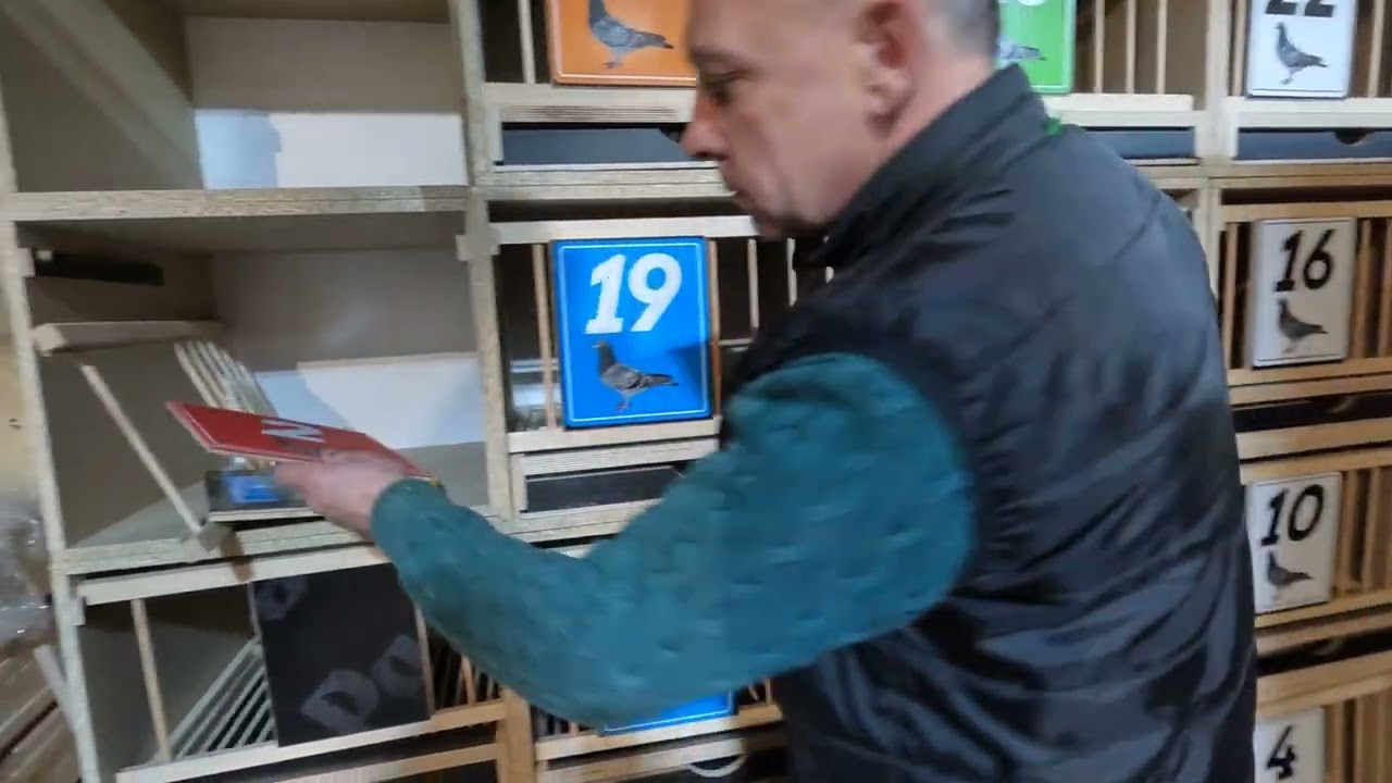 PROMOCJA 🔥 20 CEL LĘGOWYCH z RUSZTEM METALOWYM + MEGA NAKLEJKI | 2400 ZŁ