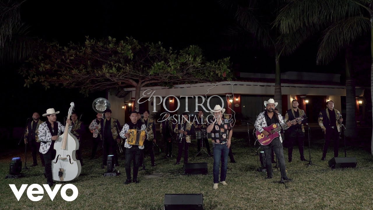El Potro de Sinaloa - El Afamado (En Vivo) (Official)
