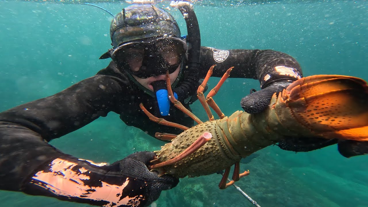 Cray Fish Catch and Cook | Spear fishing with Shark