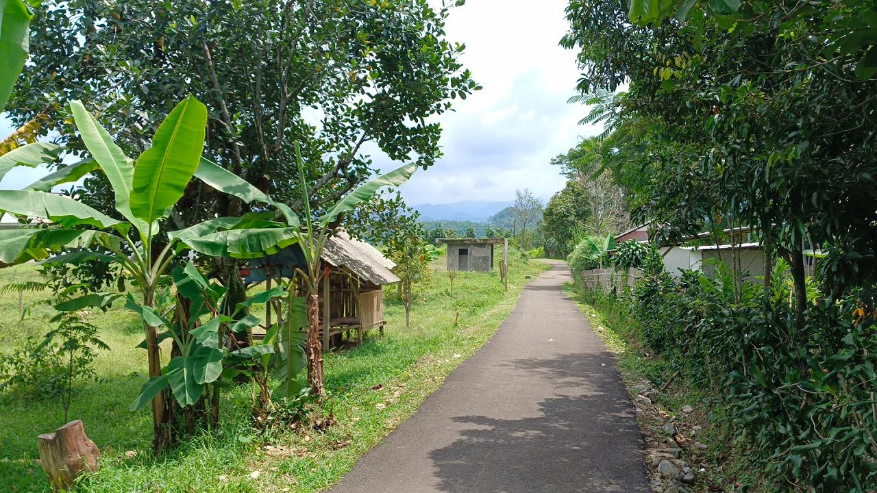 Jual Tanah kebun durian & alpukat luas ±1000 m² harga 200 juta sangat strategis tlp wa 085814799809