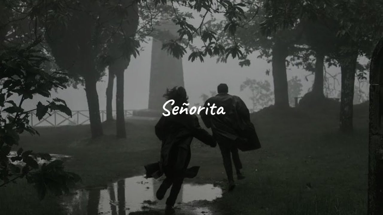 shawn mendes, camila cabello - señorita (slowed, reverb + lyrics)