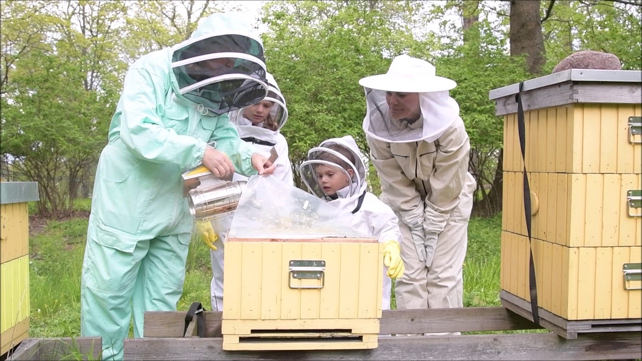 Princess Estelle and Prince Oscar inspect the beehives
