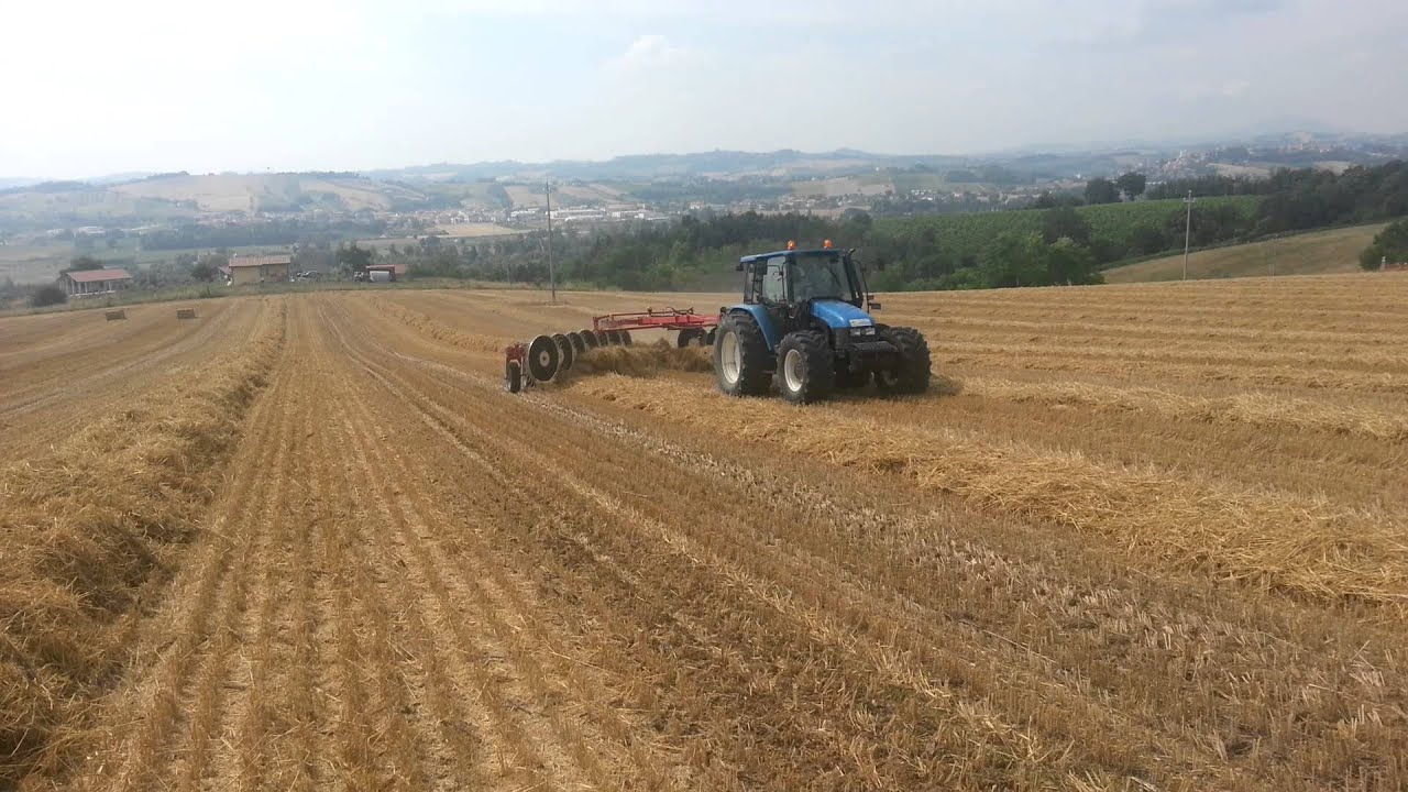 Enorossi Easy Rake 12 ST