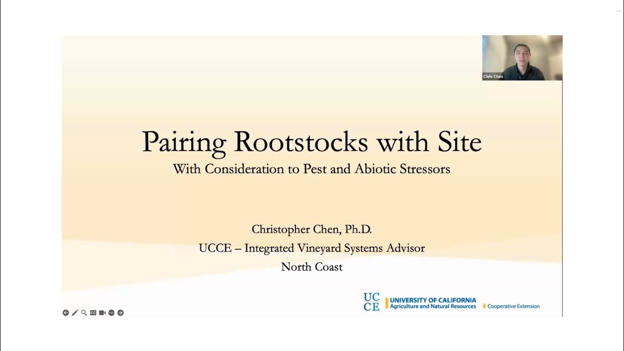 2024 North Coast IPM Seminar - Grapevine Rootstocks and Site Conditions with Chris Chen