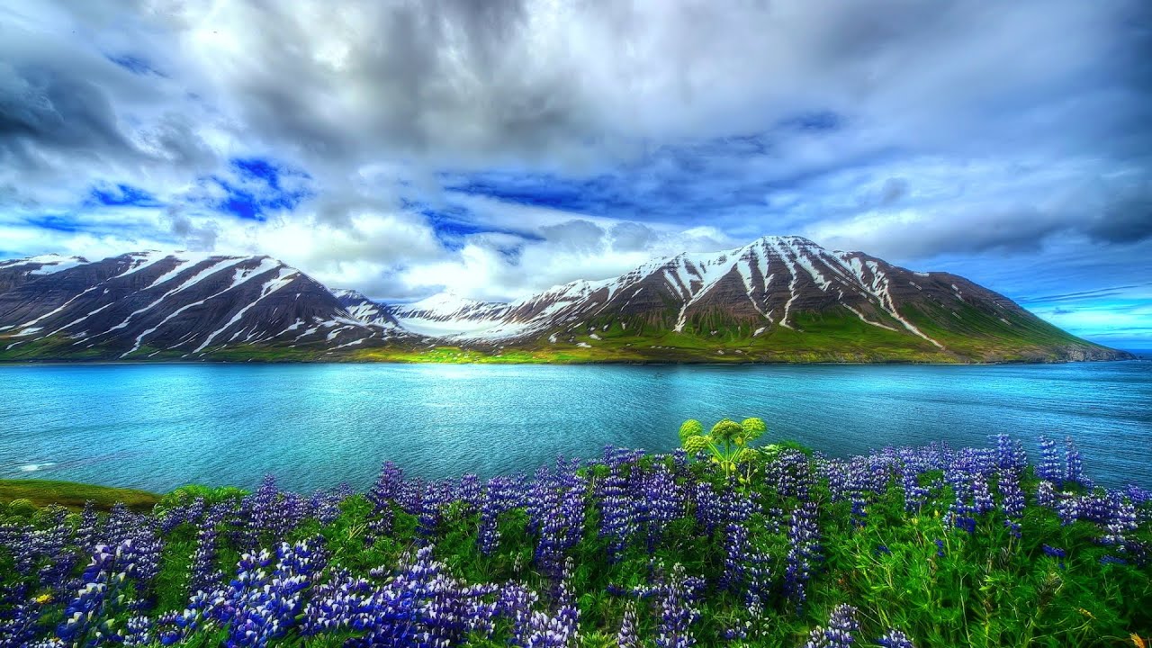 سورة البقرة كاملة سعد الغامدي  تلاوة خاشعة مع مناظر طبيعية رائعة 4k هولندا بدون إعلانات full hd