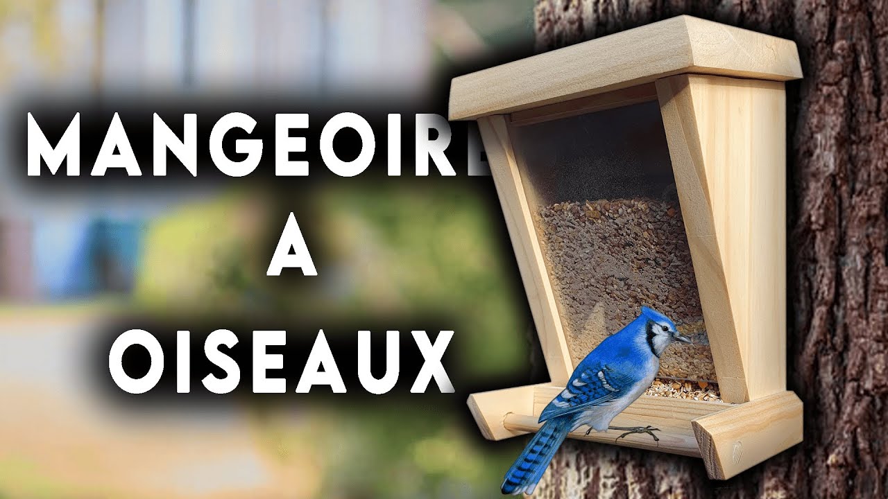FABRIQUER UN MANGEOIRE A OISEAUX EN BOIS