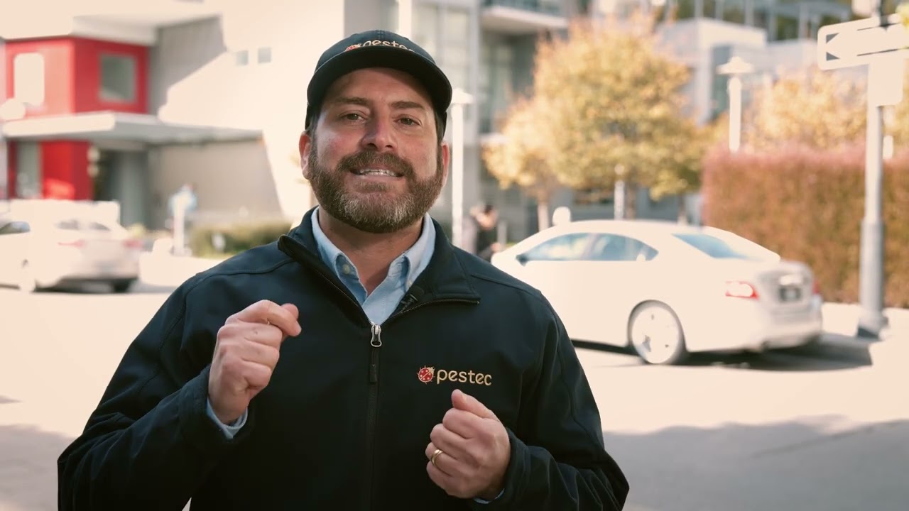 Pestec Episode 4: Sealing Electrical Boxes
