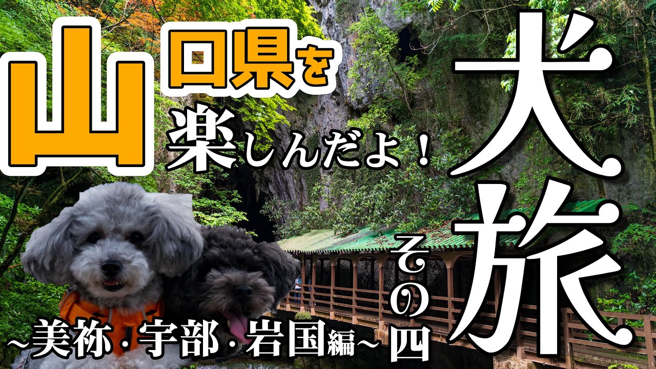 【犬旅】キャンプもいいけど旅行もね！～憧れの観光地を目指して～3泊4日犬連れ夫婦旅行 in 山口　美祢～宇部・岩国編《その4》