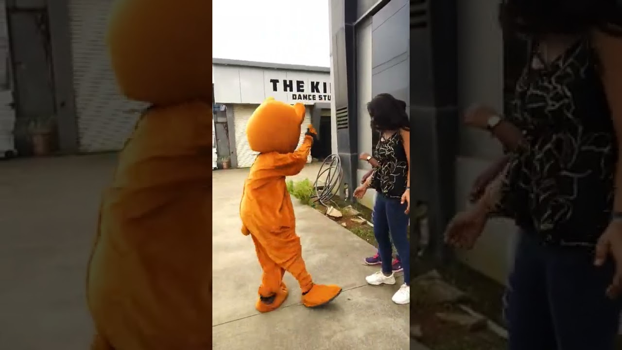 Teddy Bear Prank on Cute Girl | the teddy world  #shorts #funny #youtubeshorts #prank #teddy #viral