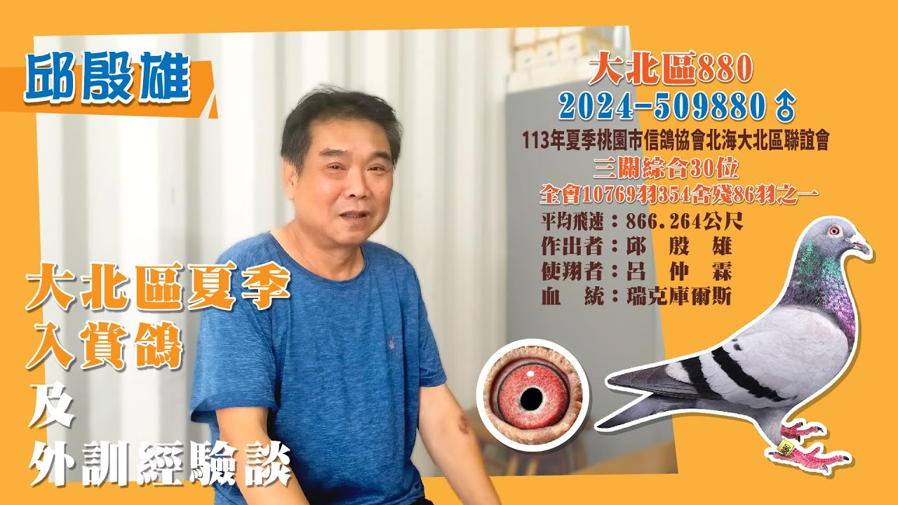 【邱殷雄鴿舍 邱殷雄】大北區夏季入賞鴿及外訓經驗分享 #強豪 #大北區 #瑞克庫爾斯 #種鴿 #養鴿 #賽鴿 #2100賽鴿王