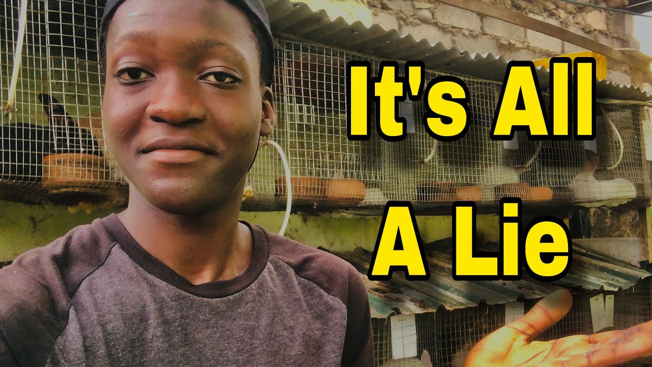 People Have Been Saying This about Rabbits 🐇 Which Are Not TRUE !!