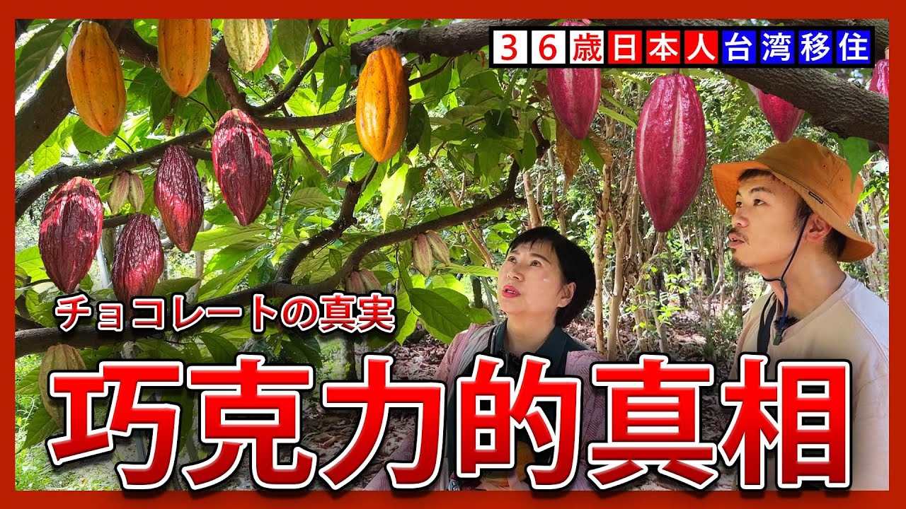巧克力的真相【屏東】