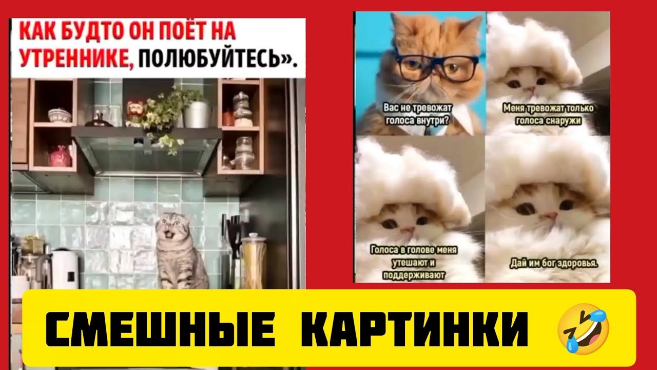 тревожат голоса внутри?тревожат только голоса снаружи,Голоса в голове меня утешают и поддерживают🤣