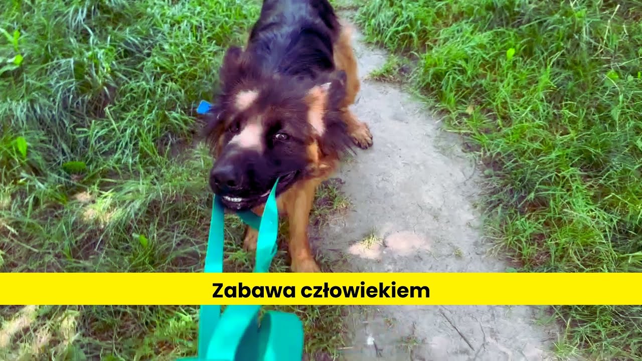 Kiedy zabawa wchodzi zbyt mocno