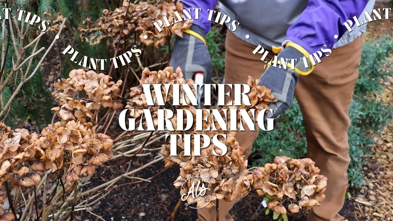 Winter Gardening Tips for the Pacific Northwest