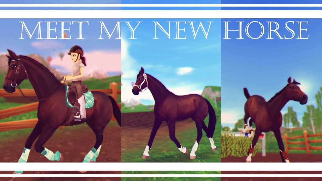 Meet My New Project Horse! || Star Stable Realistic Roleplay || Haley KittenHope