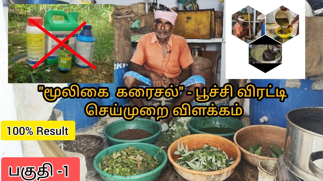 'இனி ரசாயன பூச்சிமருந்து தேவையில்லை'