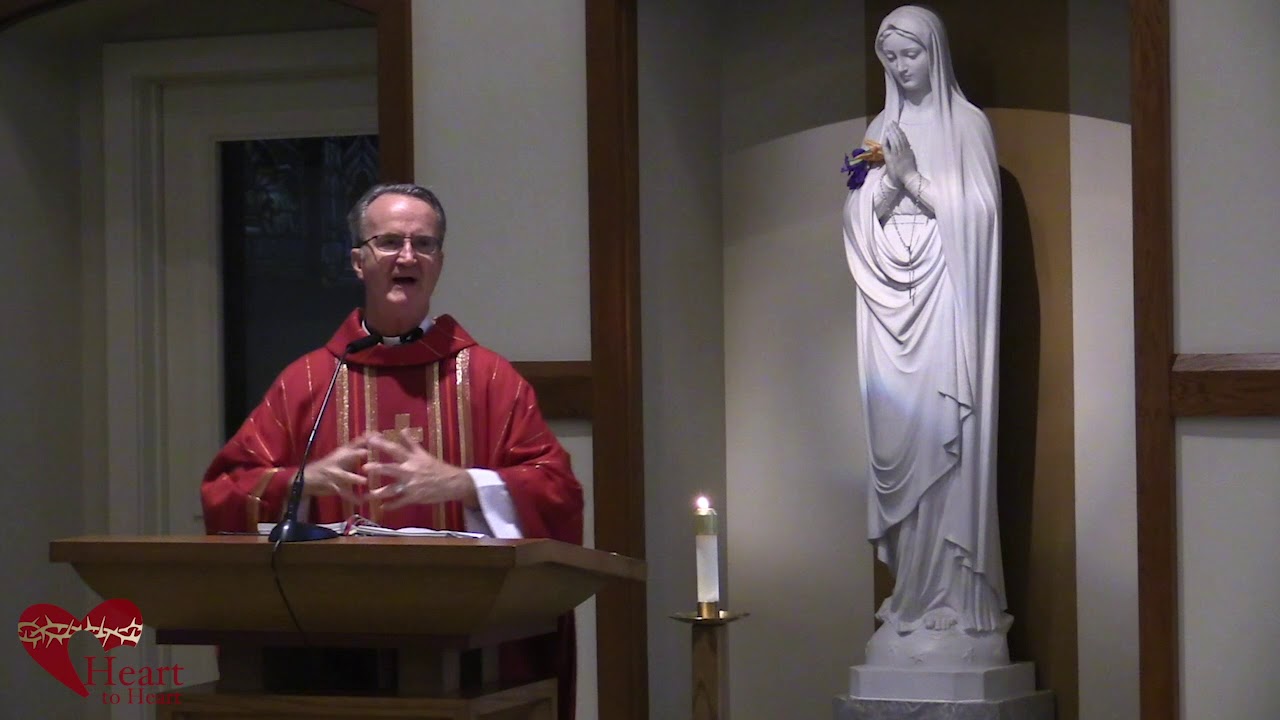 Video Homily - Understanding the death of John the Baptist [Mark 6:17-29]