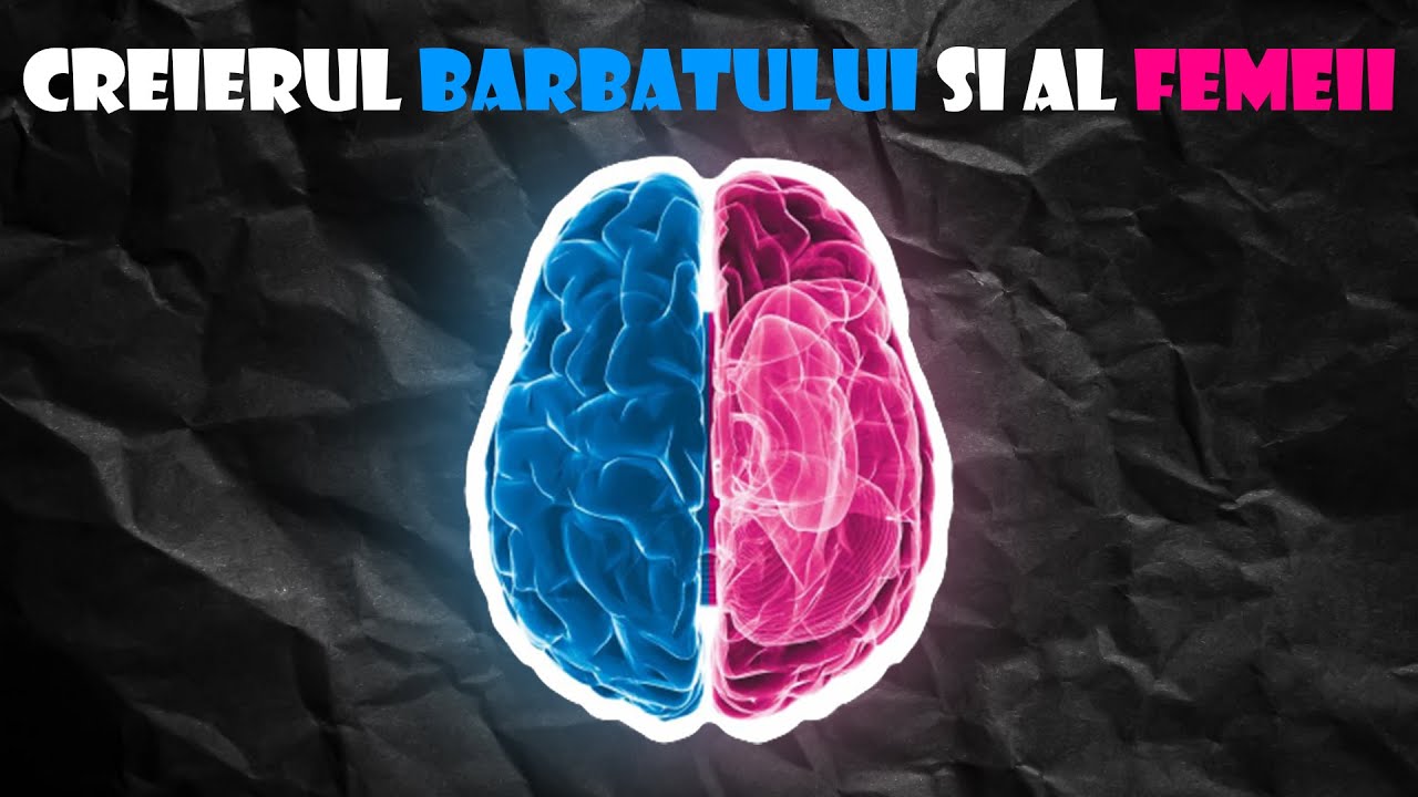 CREIERUL UMAN - DIFERENTA DINTRE BARBATI SI FEMEI
