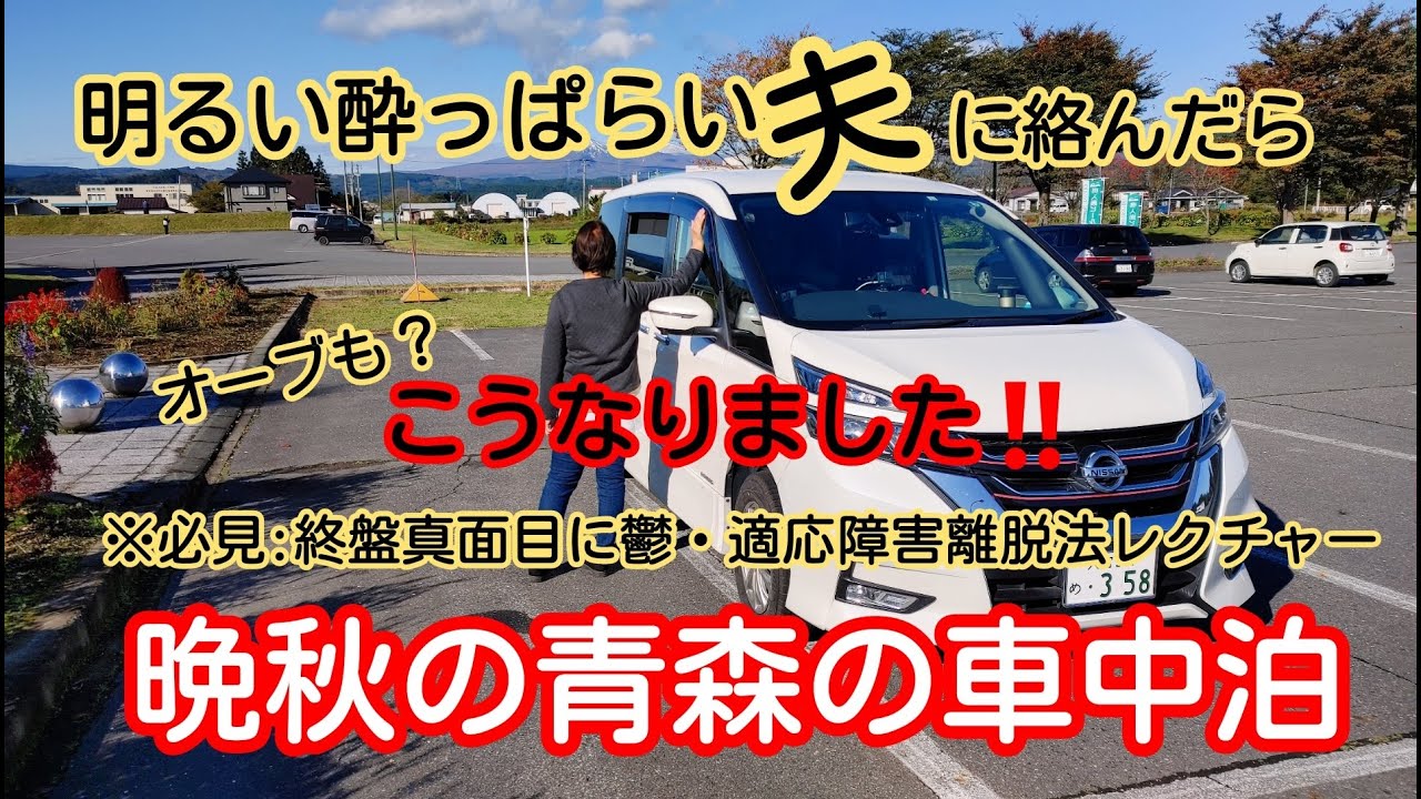 【No.91 道の駅奥入瀬ろまんパークで車中泊】座敷わらしのお礼参りの旅。明るく壊れる嫁。明るさに福が来る！オーブも見に来る始末。終盤は実践心理学トレーナーのすぐ出来る鬱・適応障害離脱法のレクチャー
