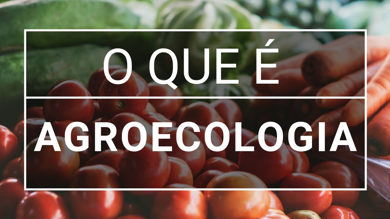 O que &eacute; agroecologia