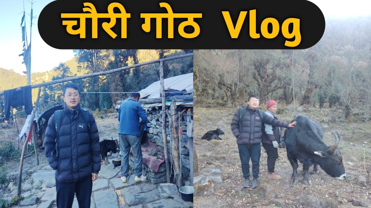 Chauri Goth Experience.Real Himalayan Life Vlog.