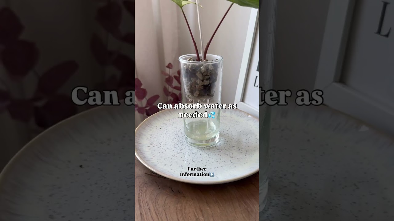 Why Mineral Substrate Is Great For Rooting Cuttings 🌱 #shorts