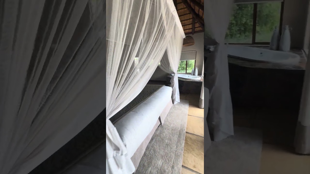 My INCREDIBLE safari lodge in Sabi Sands South Africa