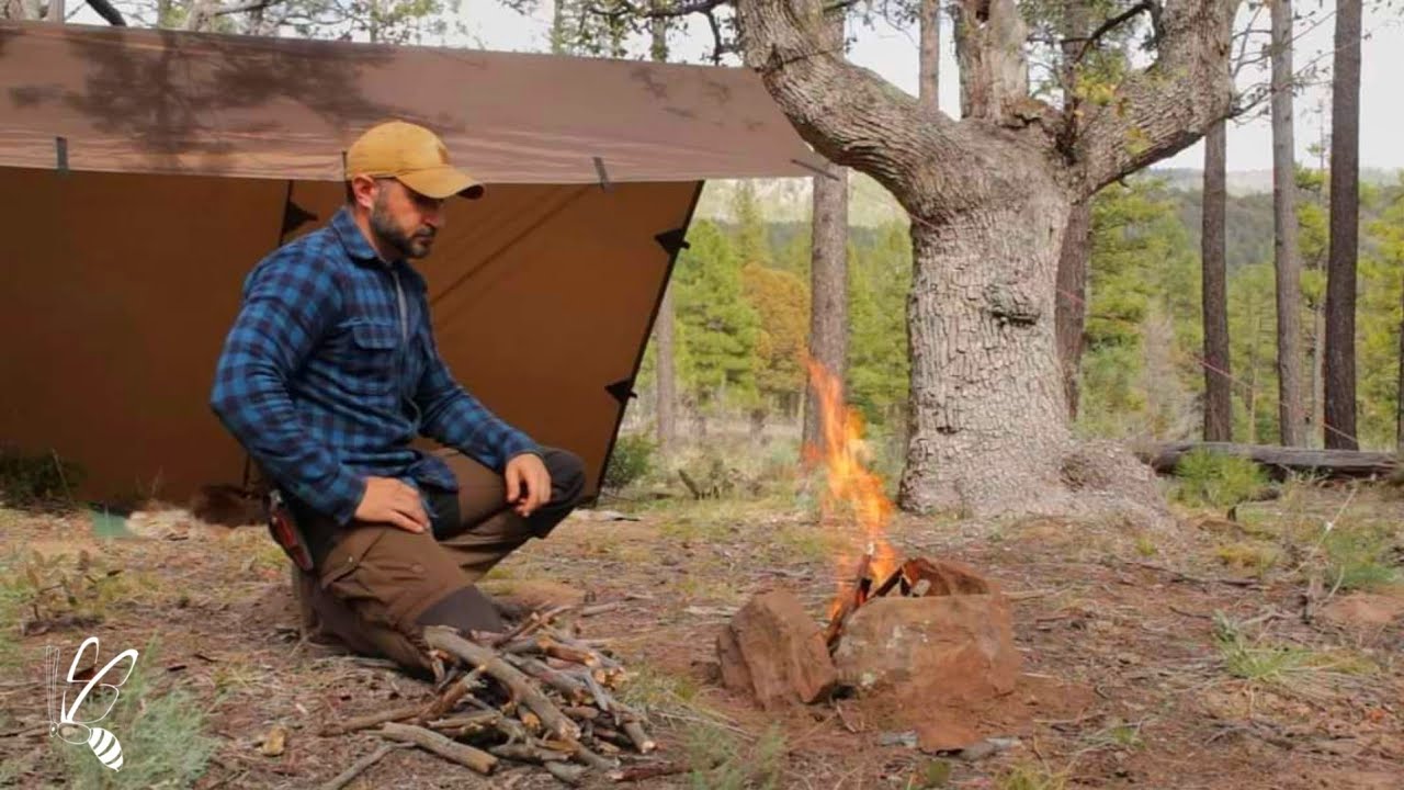 Solo Camping with my Dog | Bonefire Cooking & Relaxing | ASMR