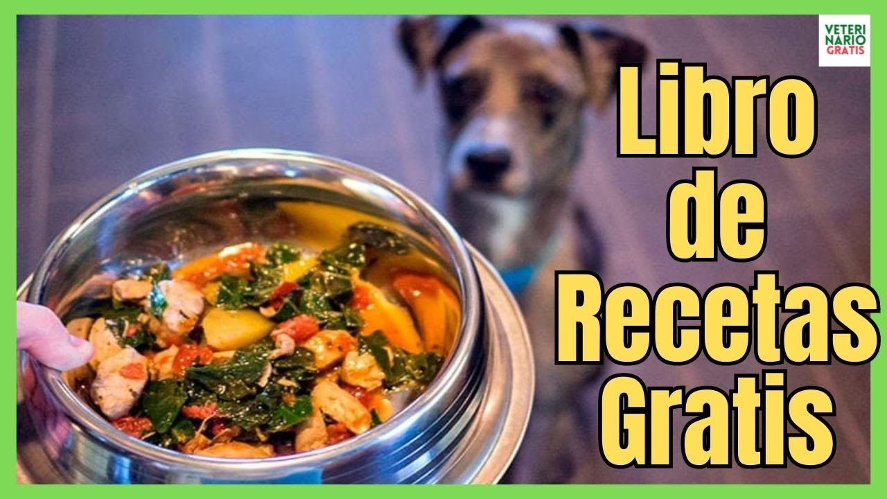 ✅ COMIDA NATURAL HECHA EN CASA PARA PERROS + LIBRO DE RECETAS DE COMIDA CASERA ✅