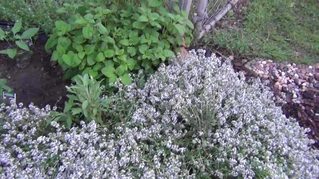 Herb Garden Tour