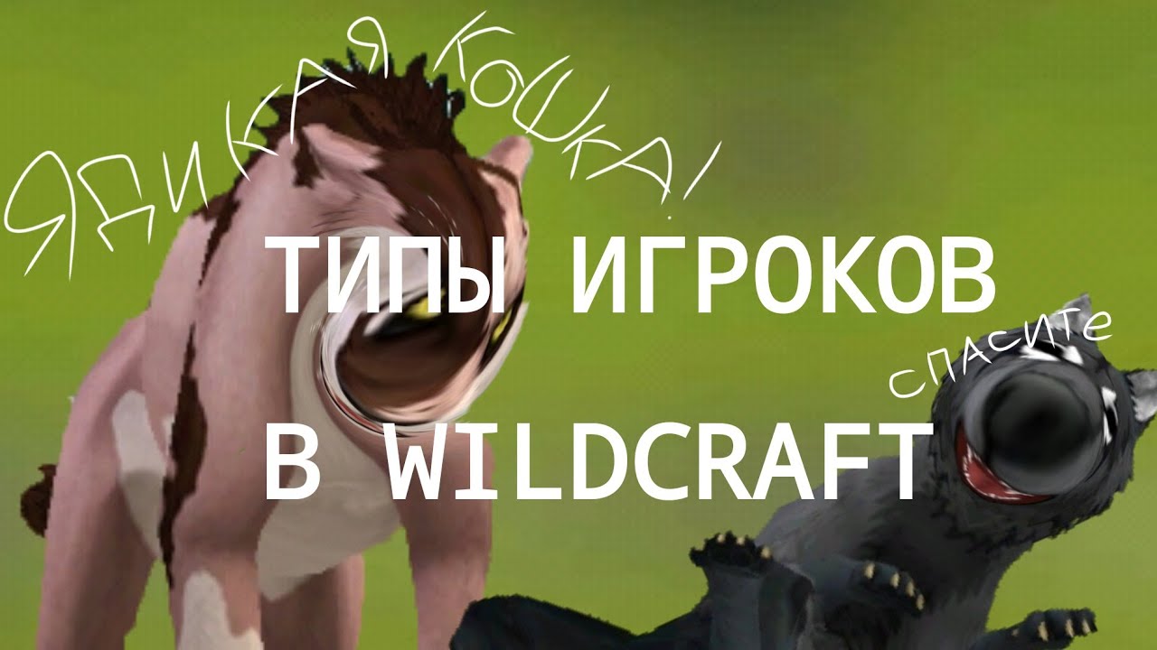 ☄️Типы игроков в WildCraft☄️