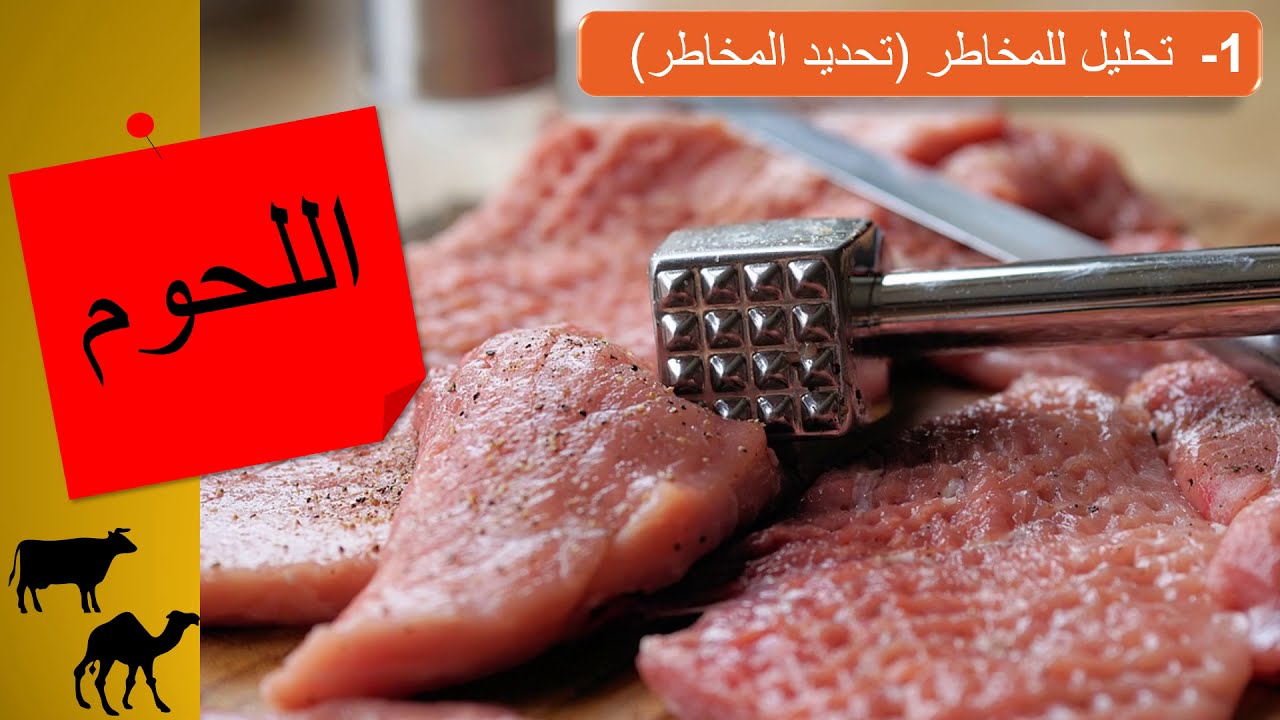 أفضل كورس هاسب الجزء 🔟 شرح تحليل مخاطر اللحوم