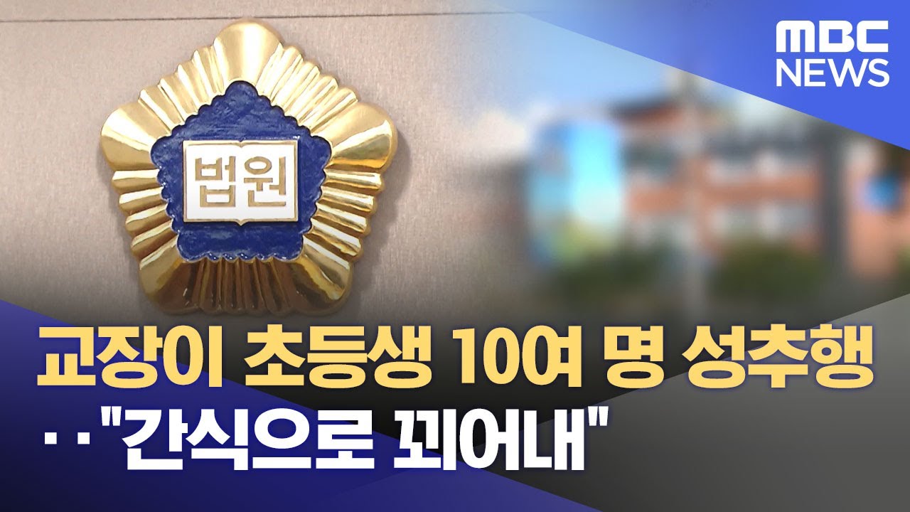 교장이 초등생 10여 명 성추행‥