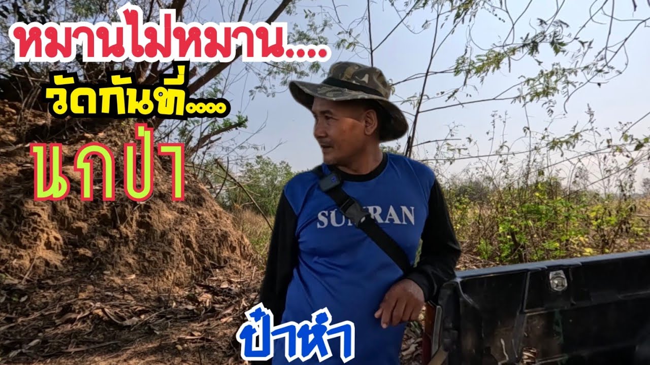 ถึงฤดูกาล…นกเหนียวแล้ว  …ต่อนกเขาใหญ่กับทีมงาน